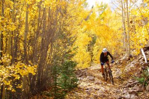 286131_159784717432253_804849_o