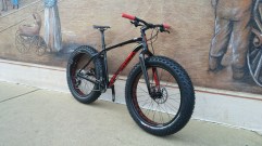 Fatbikes at BikeParts.com