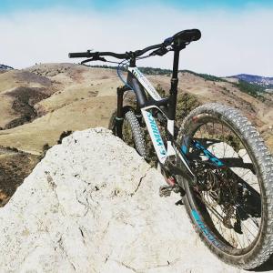 1014475_982878108456239_2622874834446561174_n